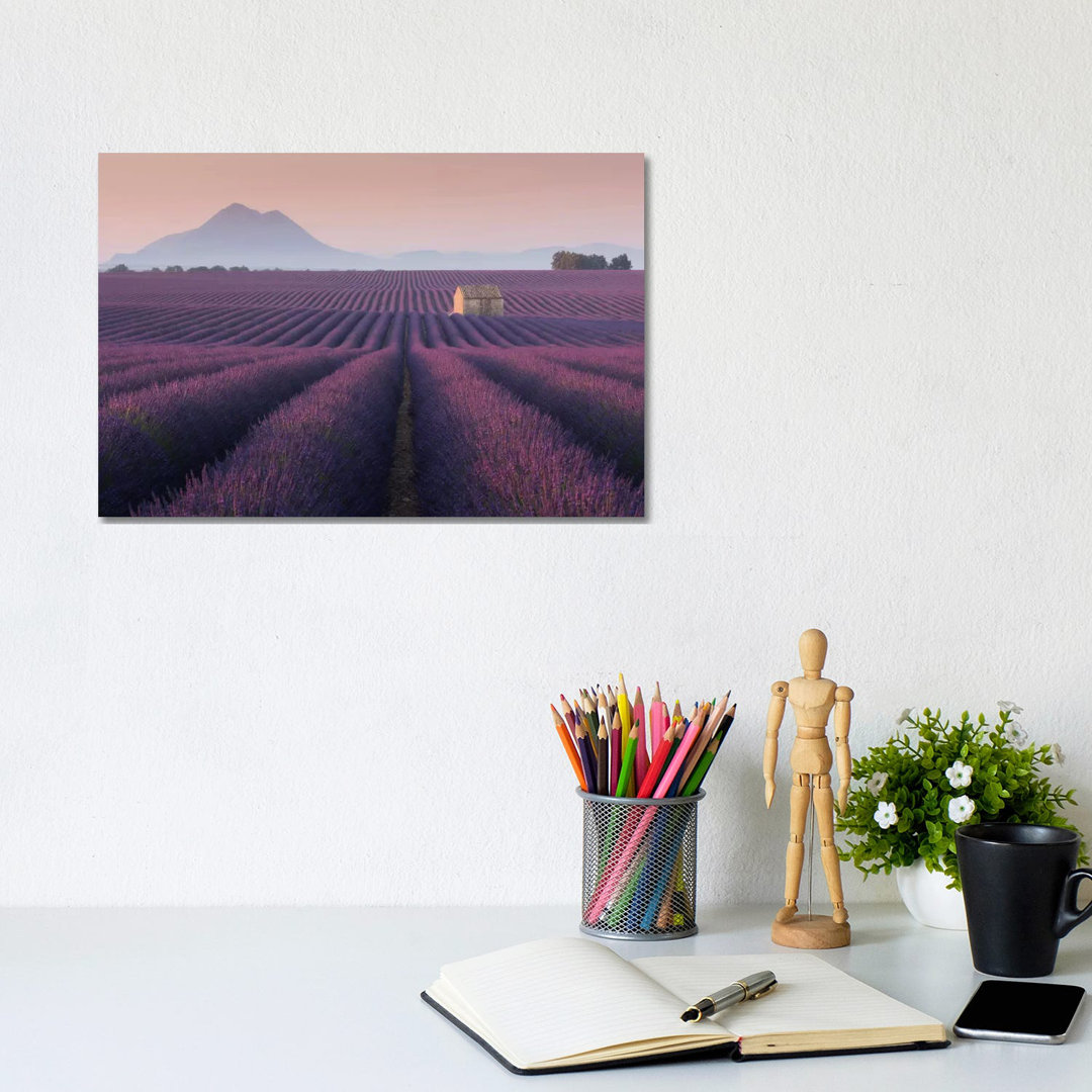 Lavender Fields of Provence III by Daniel Kordan - Photograph Print on Canvas