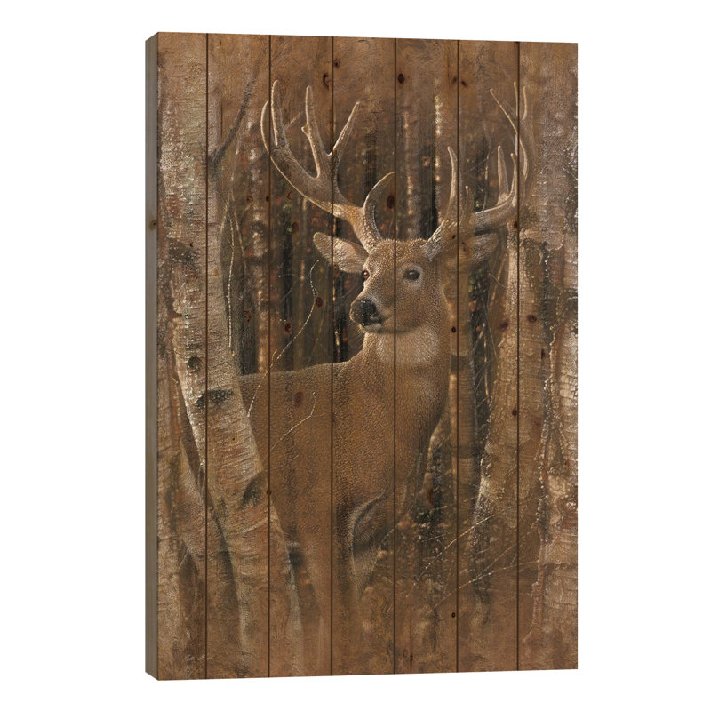 «Birchwood Buck, Vertical» par Collin Bogle, impression sur bois sans cadre, H 40 po x l 26 po x P 1,5 po