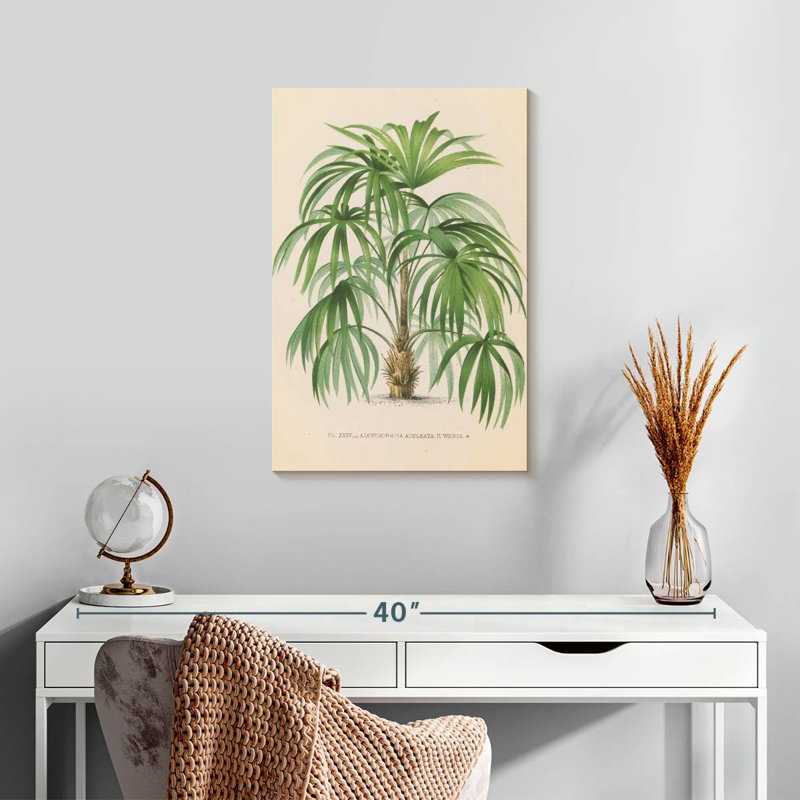 Harnek Palmier II, 24" H x 16" W
