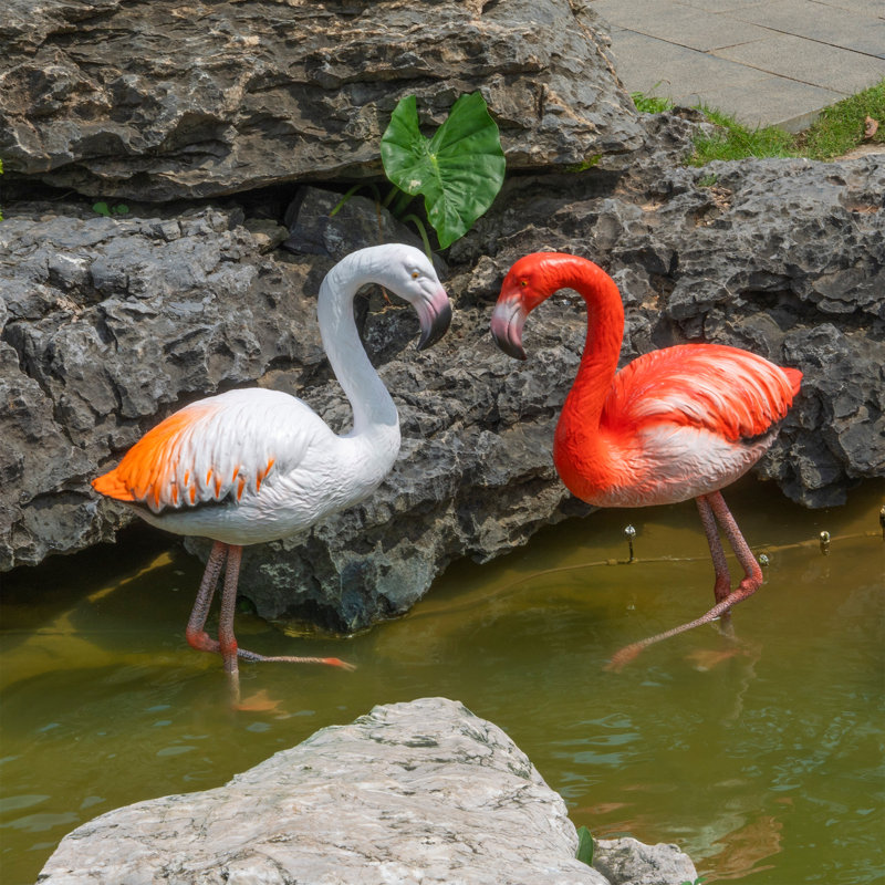 Flamant rose