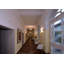 1 - Light LED Unique/Statement Pendant-43677932