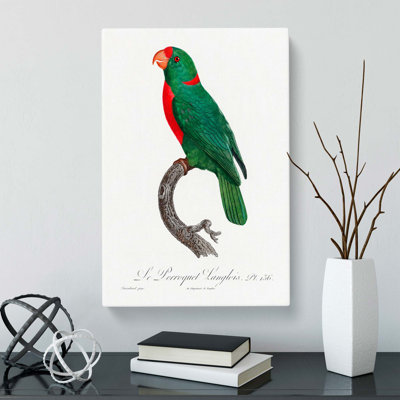 Parrot by F. Levaillant - Wrapped Canvas