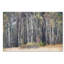 « birches », reproduction de photo sur toile tendue-32709692