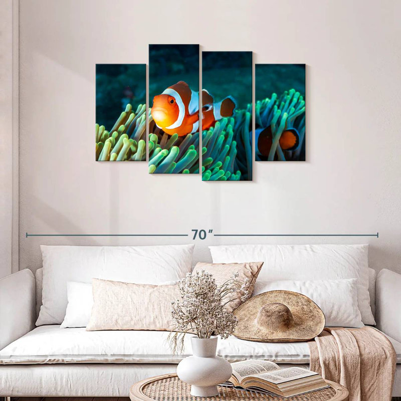 Brampt Frowning Clownfish