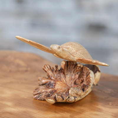Tortue parasite nageant