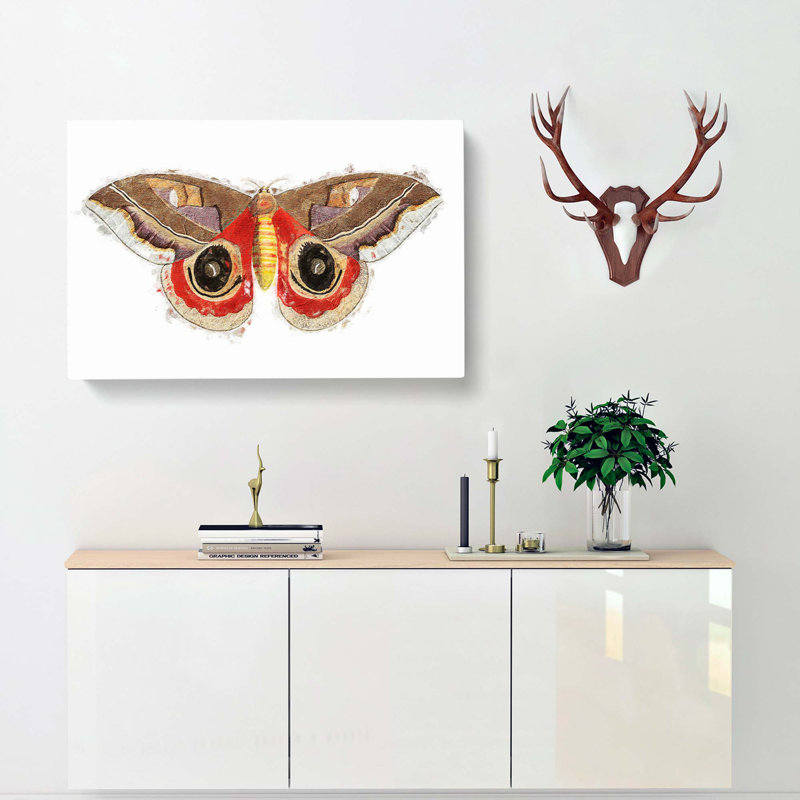 Automeris Moth by George Shaw - Wrapped Canvas Painting, 40cm H x 60cm W x 3cm D