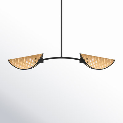 Arkon 2 Light Wicker Steel Dimmable Pendant