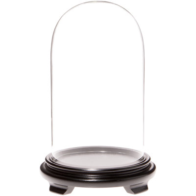 Keiarra 5.5" x 10" Glass Display Dome Cloche