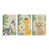 Toile tendue