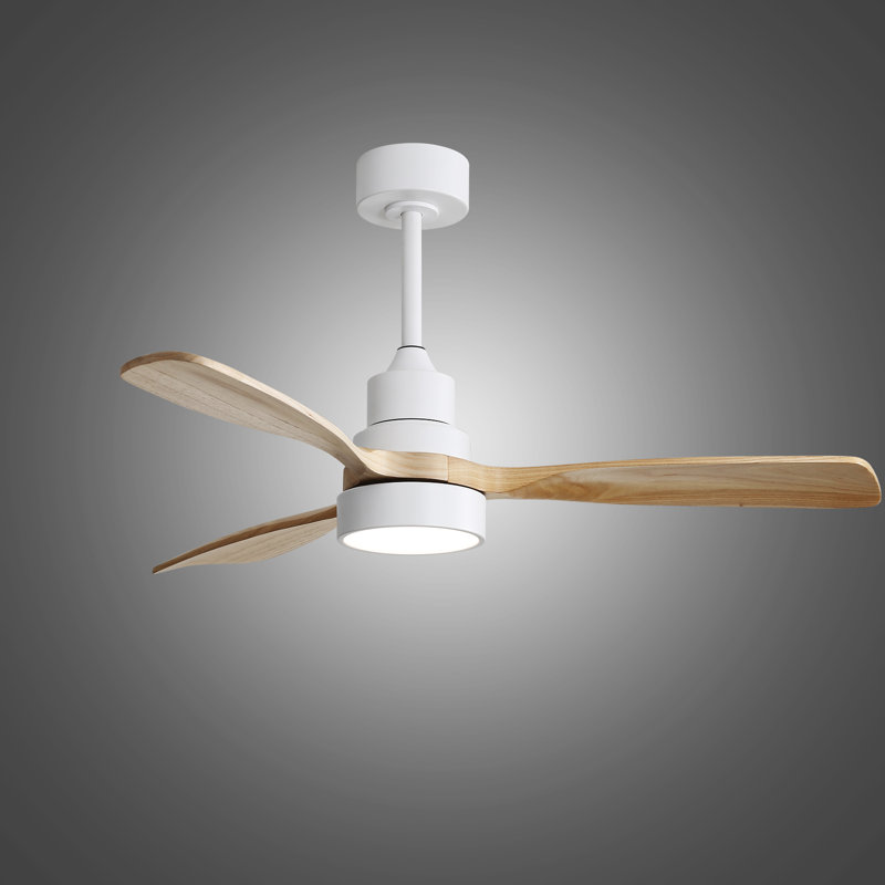 Nicola 3-Blade Dimmable Modern Ceiling Fan, White with Burlywood Blades