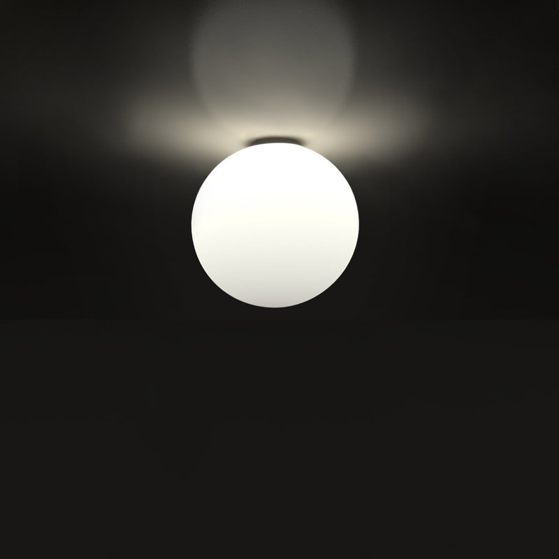 Large White Glass Globe Indoor/Outdoor Flush Mount Light