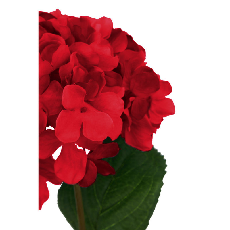 Fiori Hydrangea Arrangement