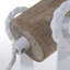 Alethia Spotlight-41181954