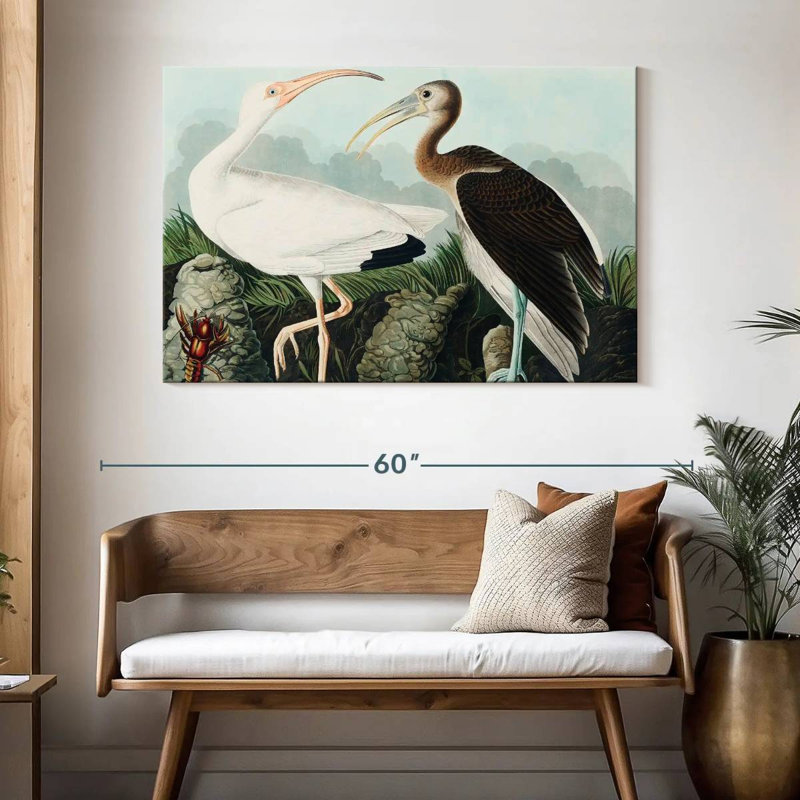 Brampt White Ibis, 32" H x 48" W
