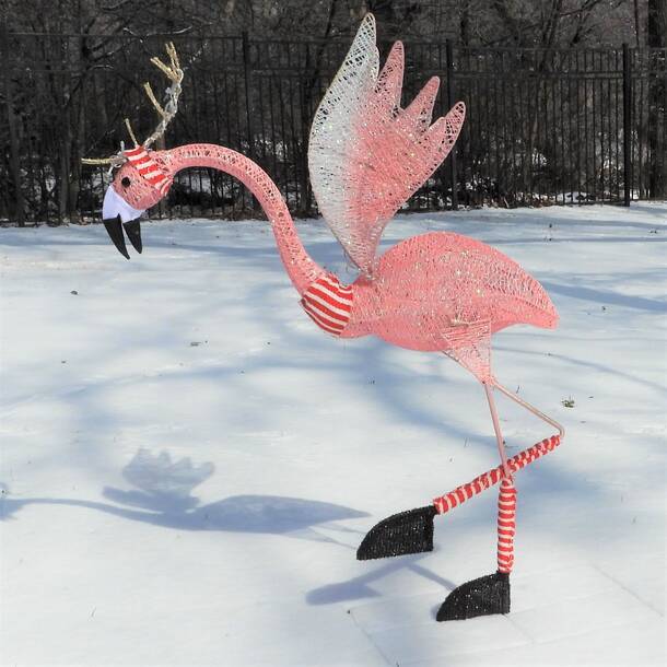 Haute Decor Flamingo Boy Lighted Display & Reviews | Wayfair