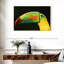Bec long Brampt Toucan-108693053