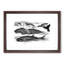 Whales & Dolphins by John Karst - Picture Frame Painting Print-55641332-55641326