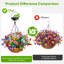 Outdoor Hanging Lantern