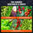 DWC Hydroponic System with Top Drip Kit