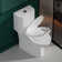 17" Comfort Height Standard Toilet，Dual Flushing Modern Elongated One Piece Toilet Glazed Surface (Seat Included), Compact Toilet for Bathroom