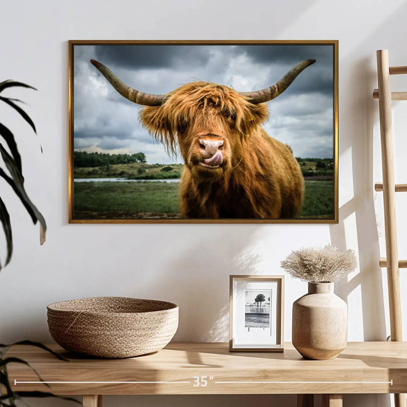 Silly Highland Cow, Cadre flottant doré, 25 po x 17 po