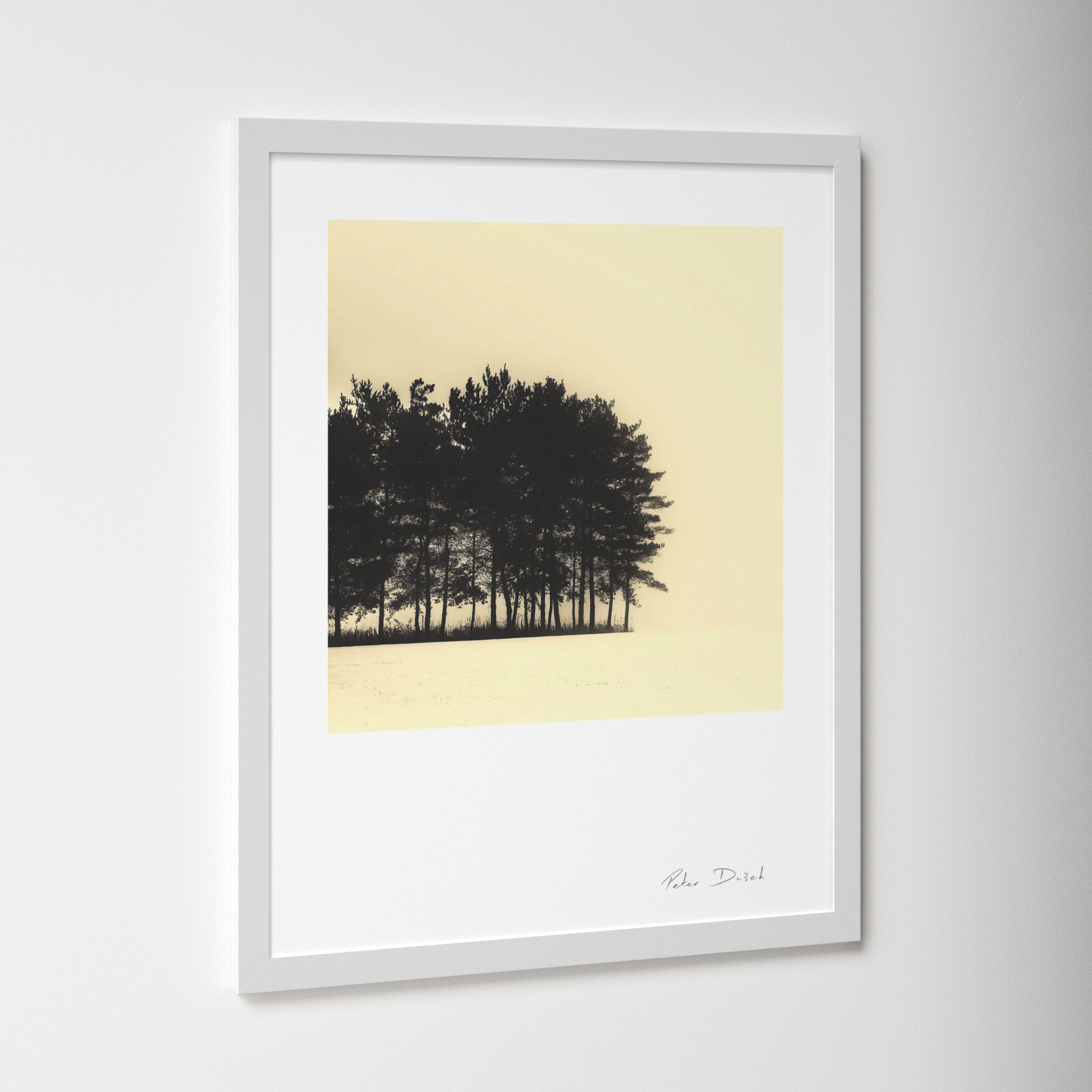 Copse by Peter Dušek, 38" H x 30" W x 1.25" D, White
