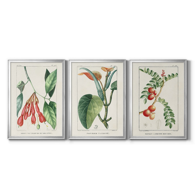 Turpin Tropical Botanicals I - Toile tendue avec châssis sur mesure - 3 pièces, H 21 po x l 30 po, Argent argent
