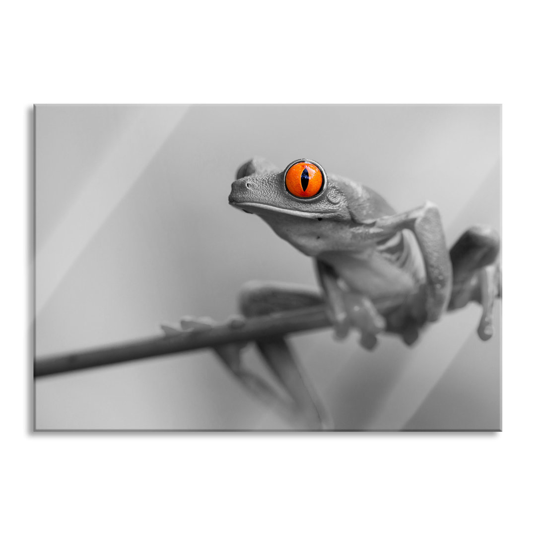 Glasbild Süßer Frosch auf Zweig