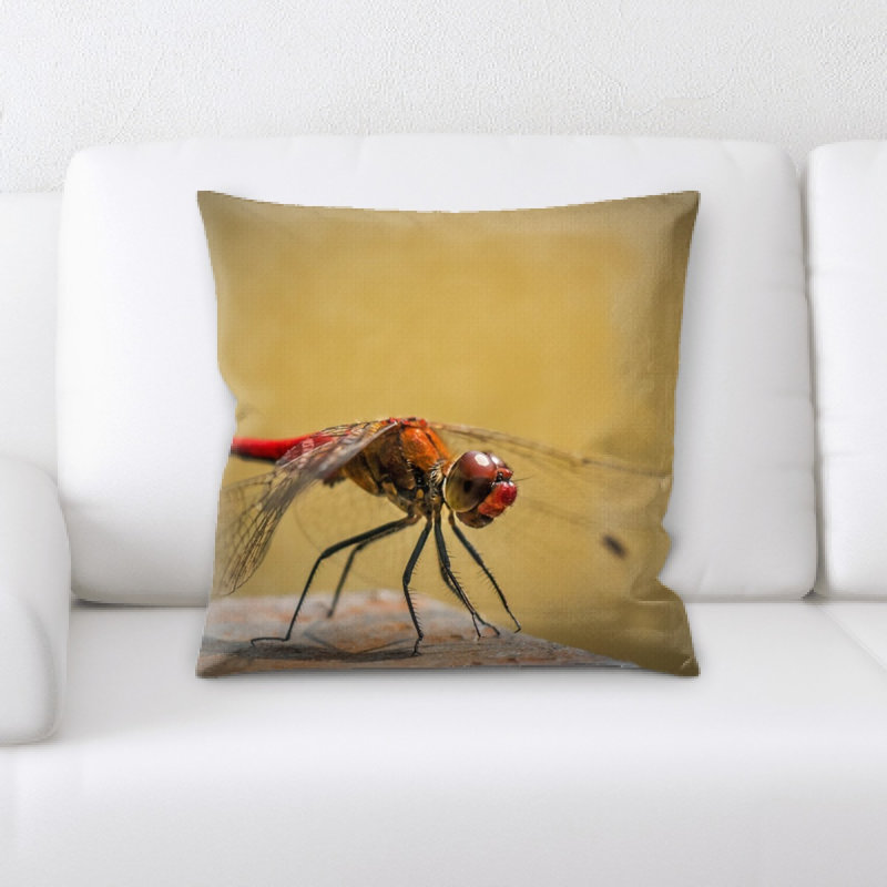 Coussin sympetrum vulgatum