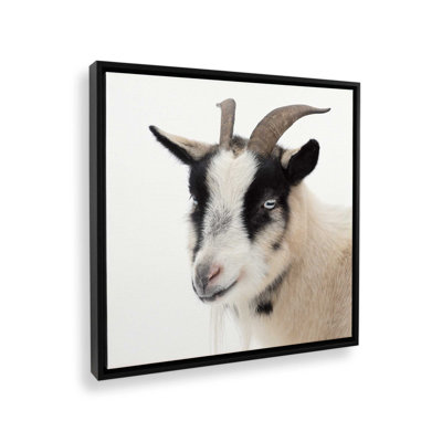 Pippa the Goat IV by Deborah Revell Canvas Art Print