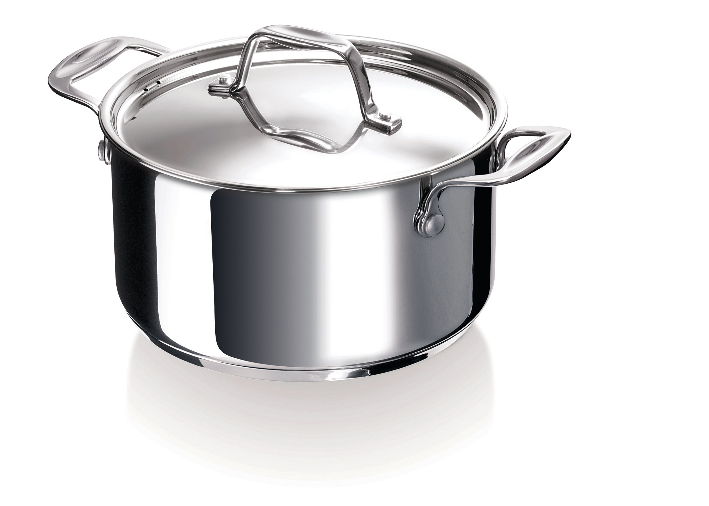 https://assets.wfcdn.com/im/63432400/compr-r85/2346/234630044/alva-stainless-steel-soup-pot.jpg