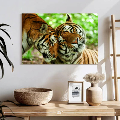 Brampt Loving Tigers