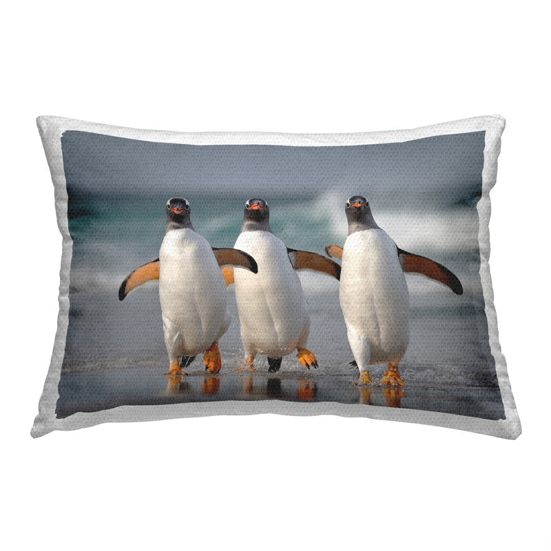 Outdoor Throw Pillow