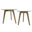 Leilani Glass Top Nesting Tables