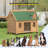 Dog House-1605579184