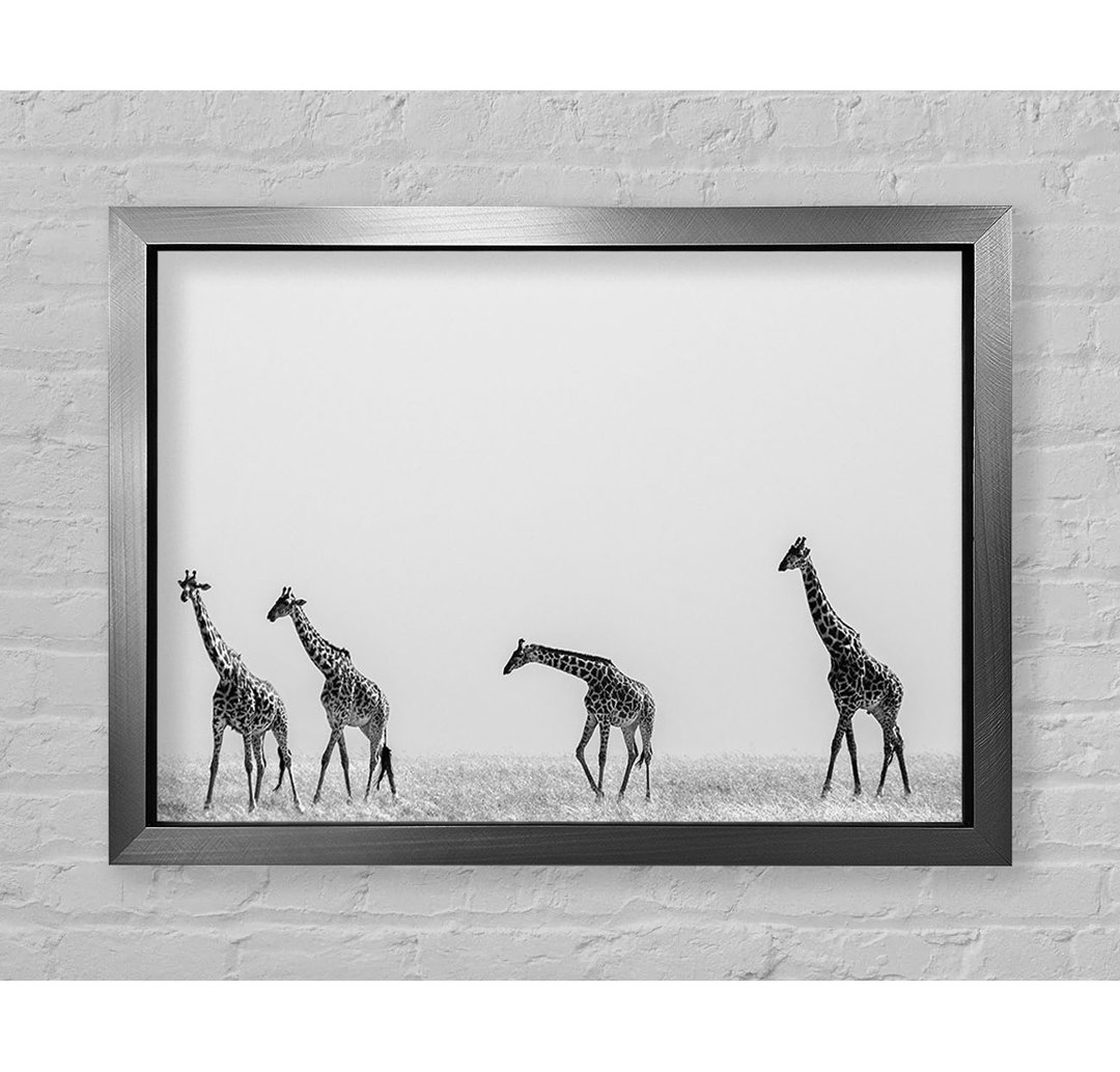 Giraffe Safari Lineup - Einzelne Bilderrahmen Kunstdrucke