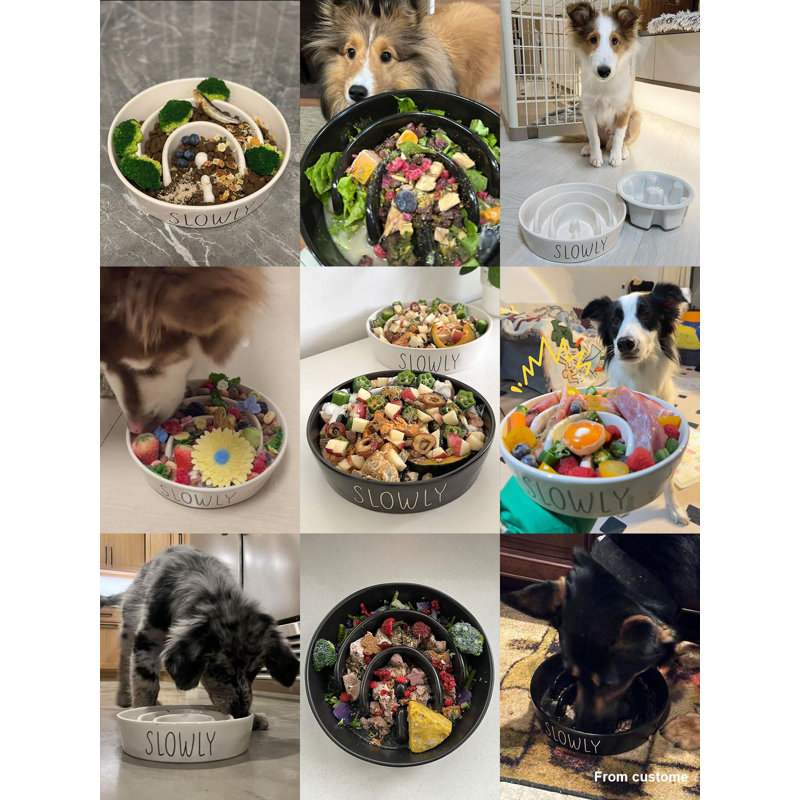 Black Ceramic 1.5 Cups Slow Feeder Dog Bowl
