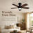 35-Inch 5-Blade Ceiling Fan