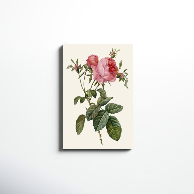 «Redoute's Rose II», peinture sur toile, H 30 po x l 20 po