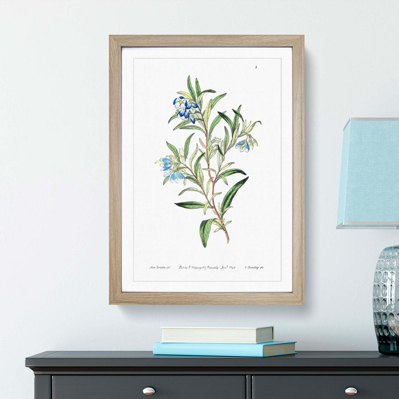 Bluebell Flowers - Framed Print, 50cm H x 35cm W x 2cm D, Oak