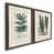 Walnut Framed