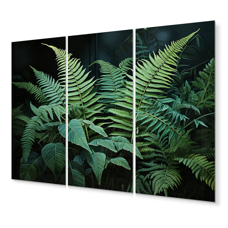 Green And Black Ferns Dynamic Contrast III Plants & Flowers Wall Decor on Metal