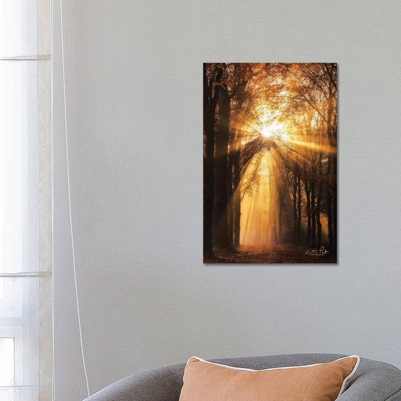Sunburst - Wrapped Canvas Print, 66.04 cm H x 45.72 cm W