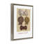 Cadre flottant Glorious Scallop Shells, design par Nancy Overton-951792071-951792070