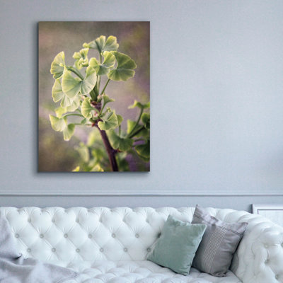 'Sprouting Ginkgo I' by Debra Van Swearingen Canvas Wall Art