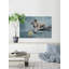 « fetch this ball », reproduction sur toile tendue-524978601