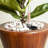 2 10 In. Dark Wood Self-Watering Planter Pots - Handmade, , With Drainage And Water Level Sensor System Wood-Like Weather , Breathable Fabric, Easy To Assemble Move Plug-1870243102