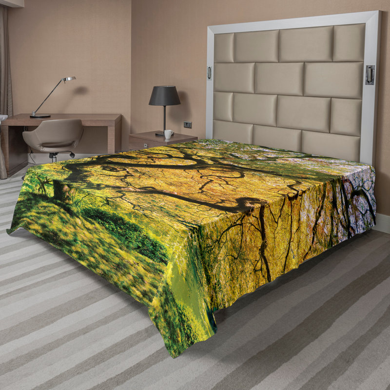 Drap plat Ambesonne, Drap plat grand