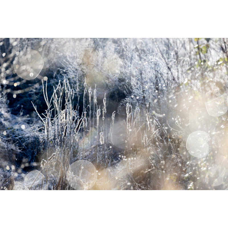 Wrapped Canvas Print, 60.96 cm H x 91.44 cm W