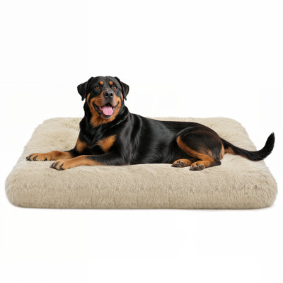 Draylan Machine Washable Dog Bed